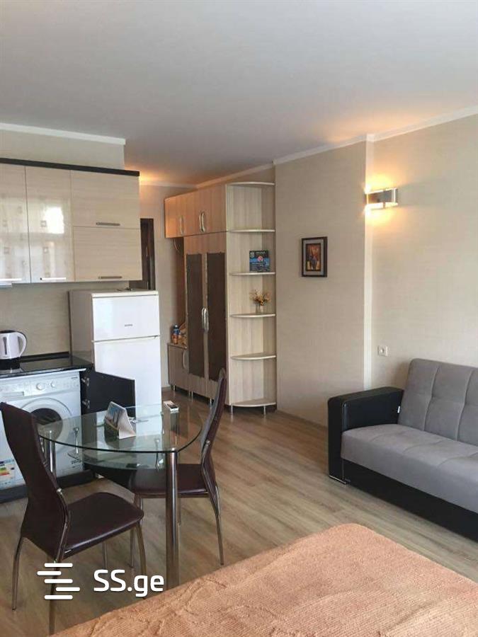 1 Room Flat Daily Rent. Batumi view 9