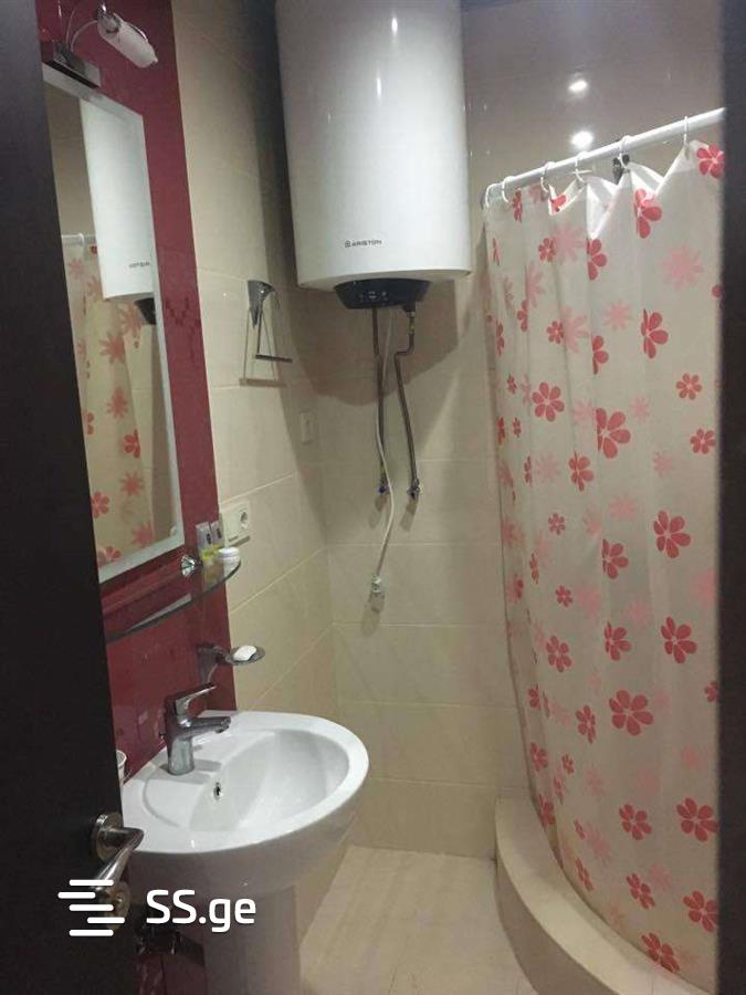 1 Room Flat Daily Rent. Batumi view 7