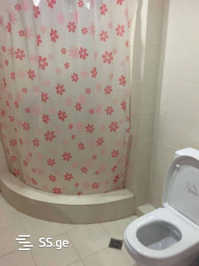 1 Room Flat Daily Rent. Batumi view 8