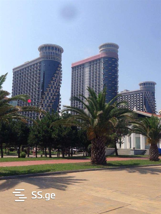 1 Room Flat Daily Rent. Batumi view 2