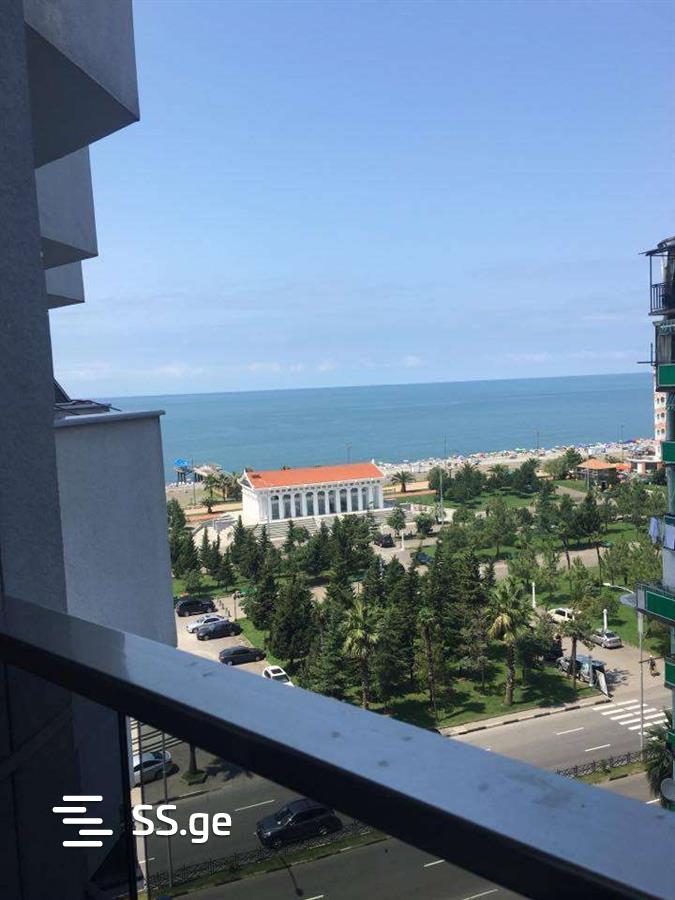 1 Room Flat Daily Rent. Batumi view 3