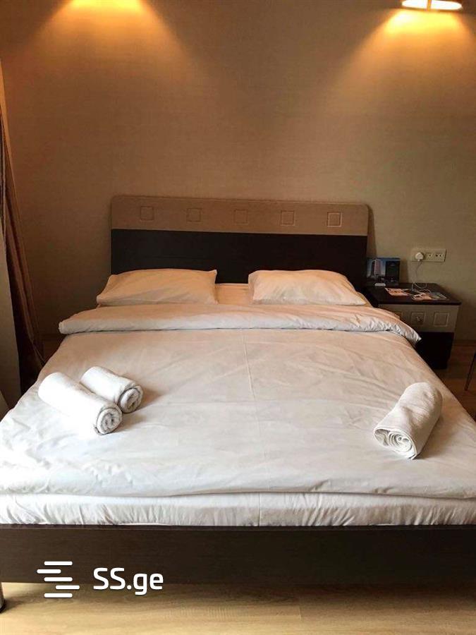 1 Room Flat Daily Rent. Batumi view 4