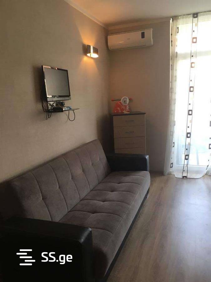 1 Room Flat Daily Rent. Batumi view 10