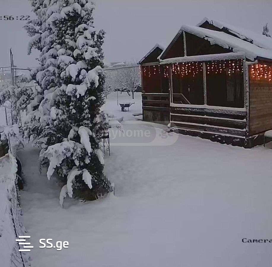 3 Room Private House Daily Rent. Lisi Lake, 12 of 12