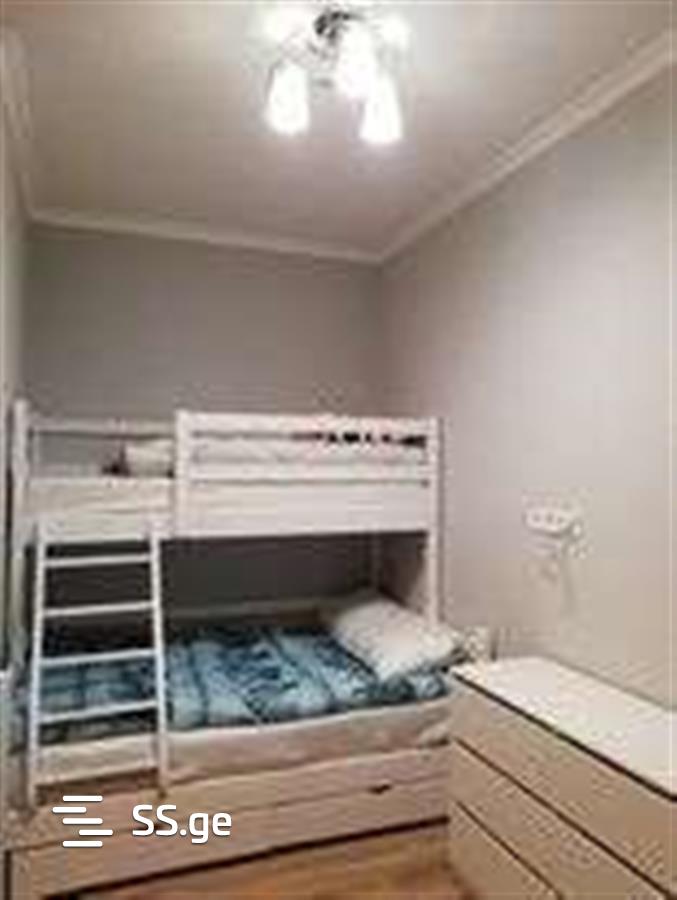 4 Room Summer Cottage Daily Rent. Bakuriani view 9