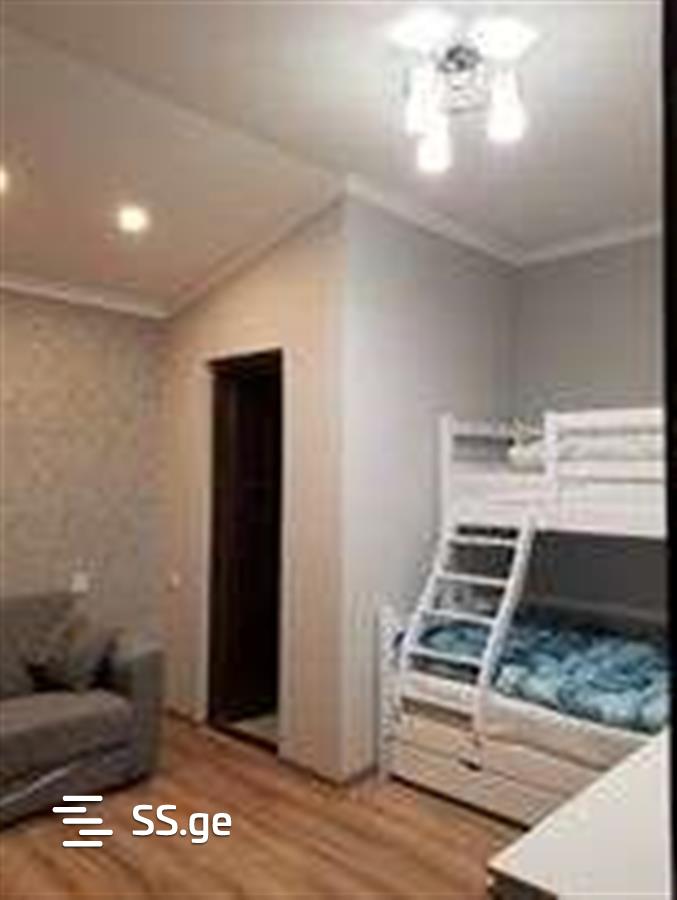 4 Room Summer Cottage Daily Rent. Bakuriani view 8
