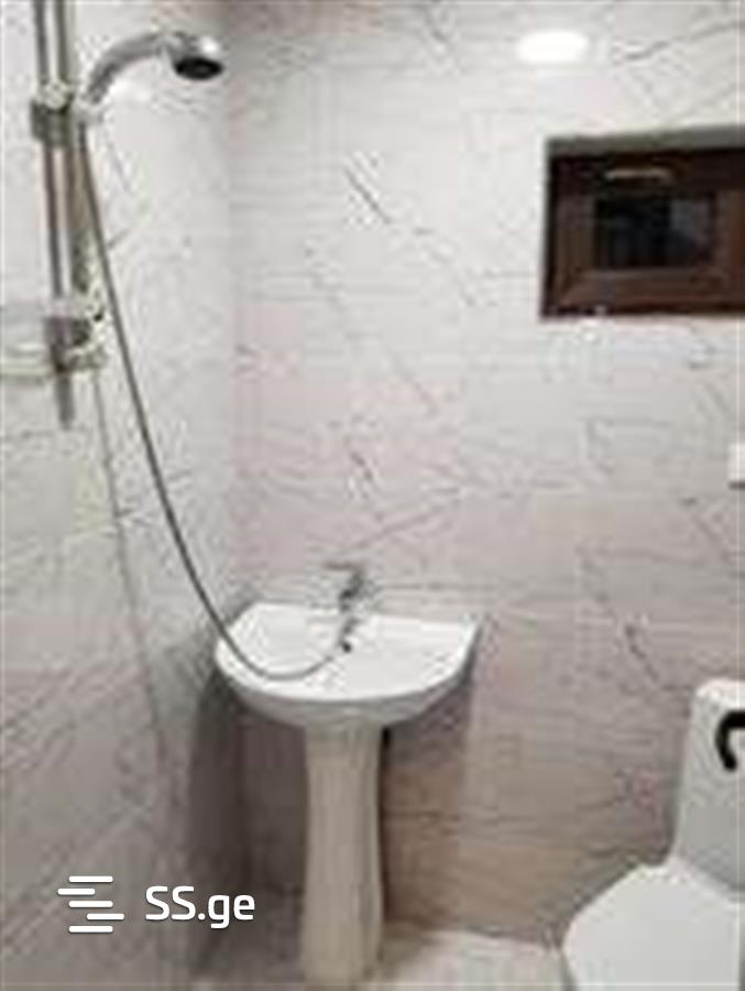 4 Room Summer Cottage Daily Rent. Bakuriani view 11