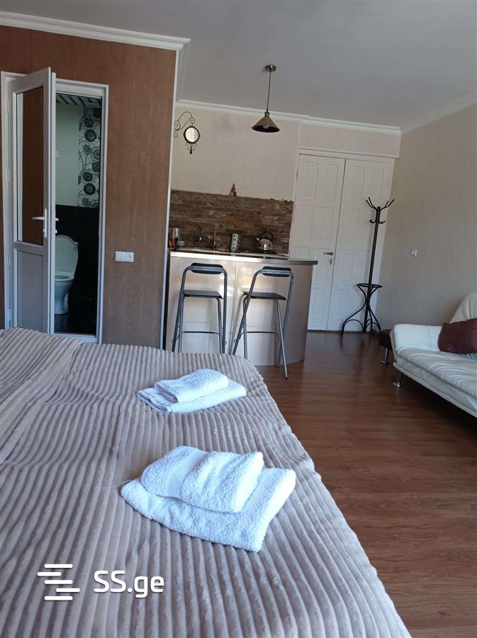 5 Room Private House Daily Rent. Borjomi view 4