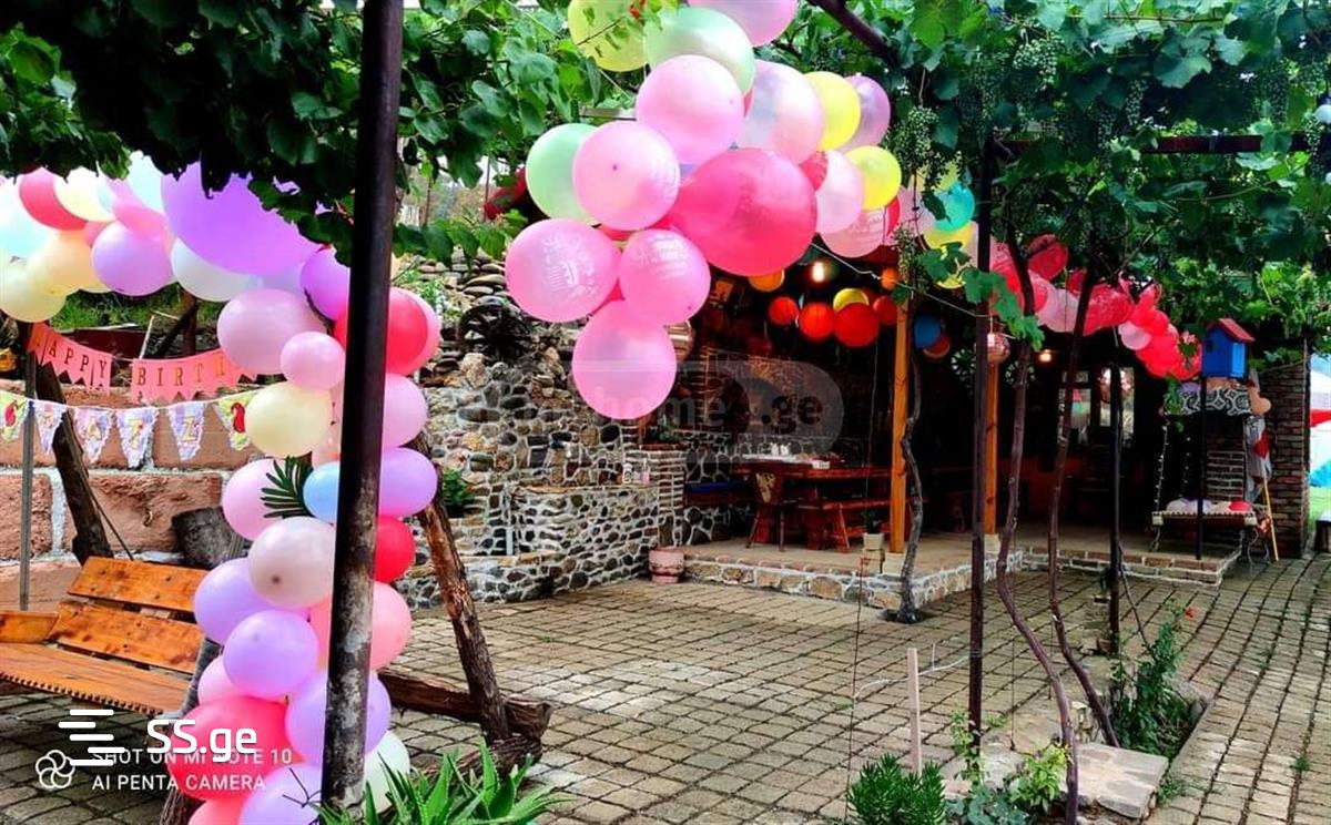 2 Room Summer Cottage Daily Rent. Gldani Village view 10