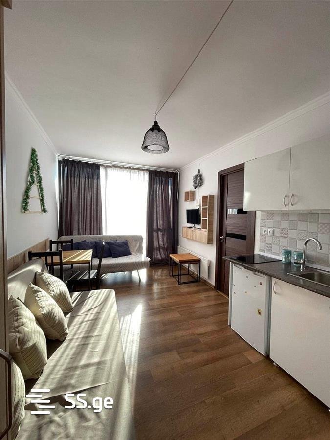 2 Room Flat For Rent. Bakuriani, 2 of 8