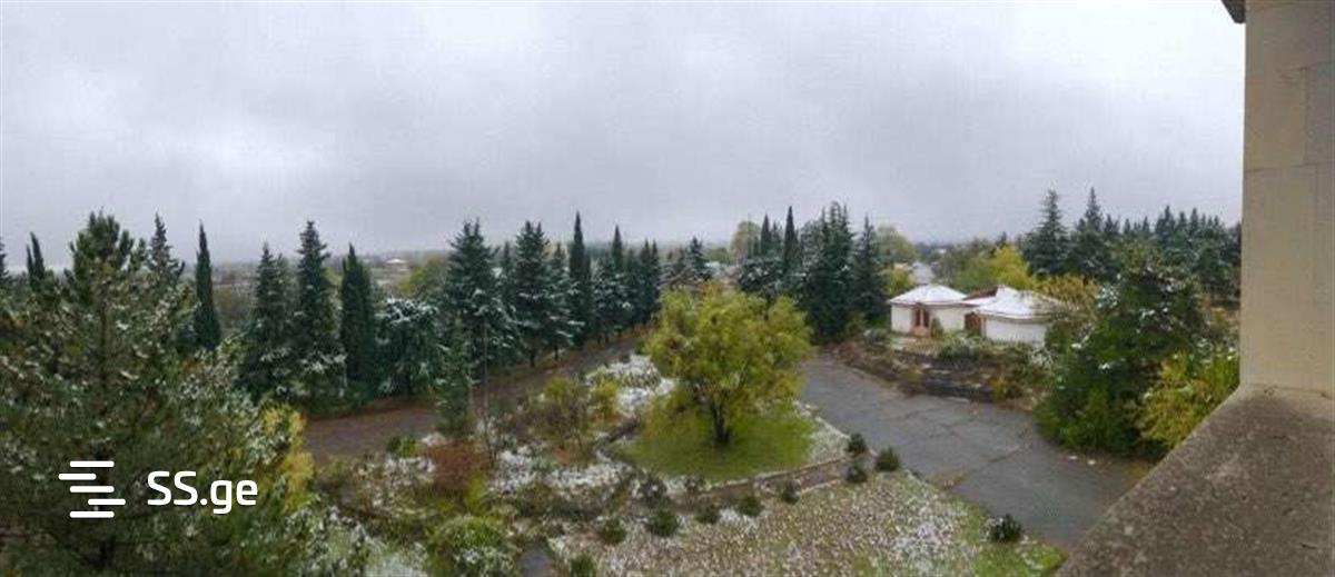 იყიდება მიწა საგარეჯოში view 3