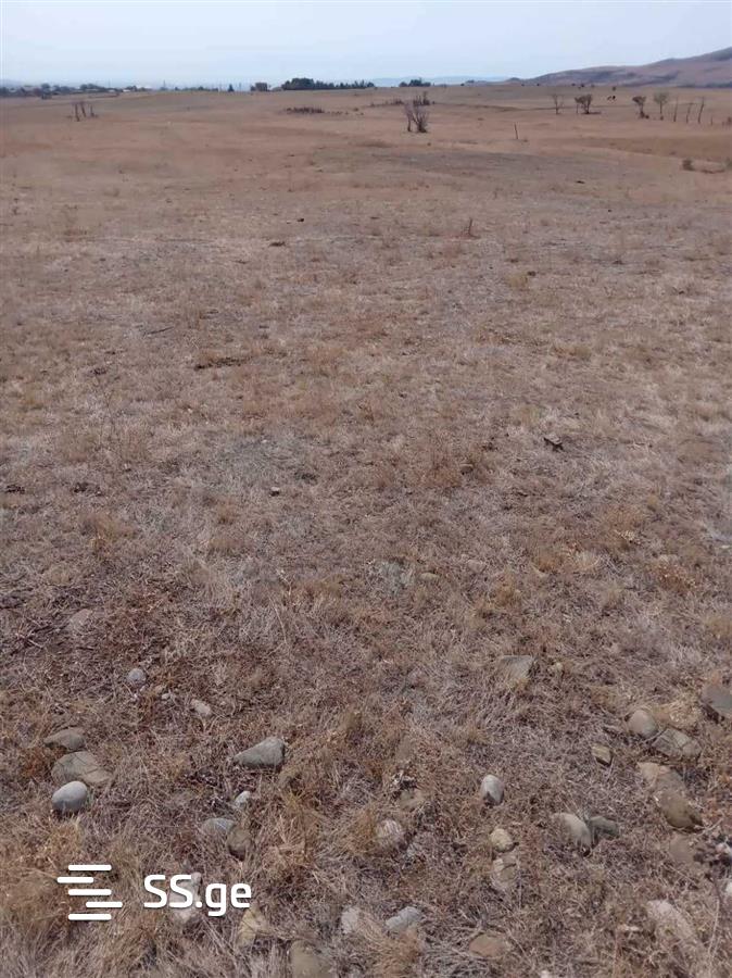 Land For Sale. Martkofi view 7
