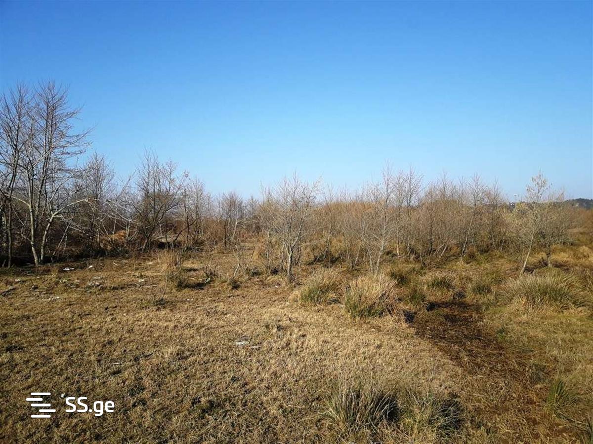 Продажа Земля / участок в Ozurgetshi view 8