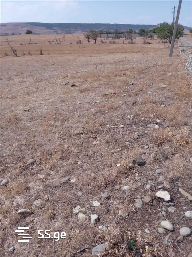 Land For Sale. Martkofi view 4