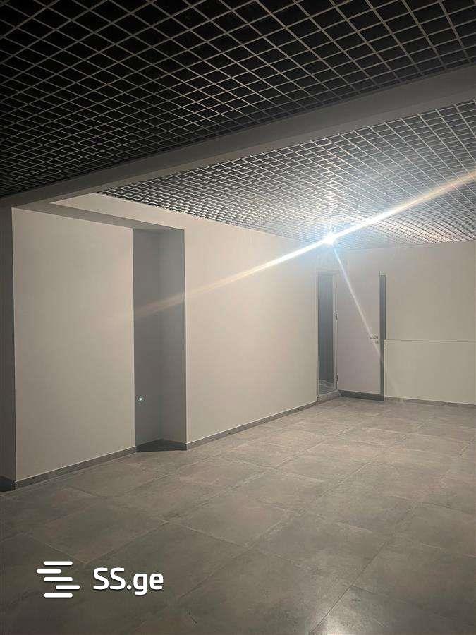 Commercial Real Estate For Rent. Avlabari view 10