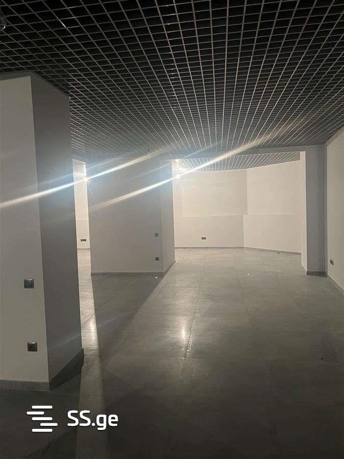 Commercial Real Estate For Rent. Avlabari view 8