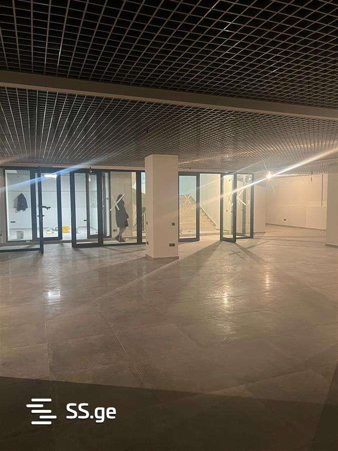 Commercial Real Estate For Rent. Avlabari view 2