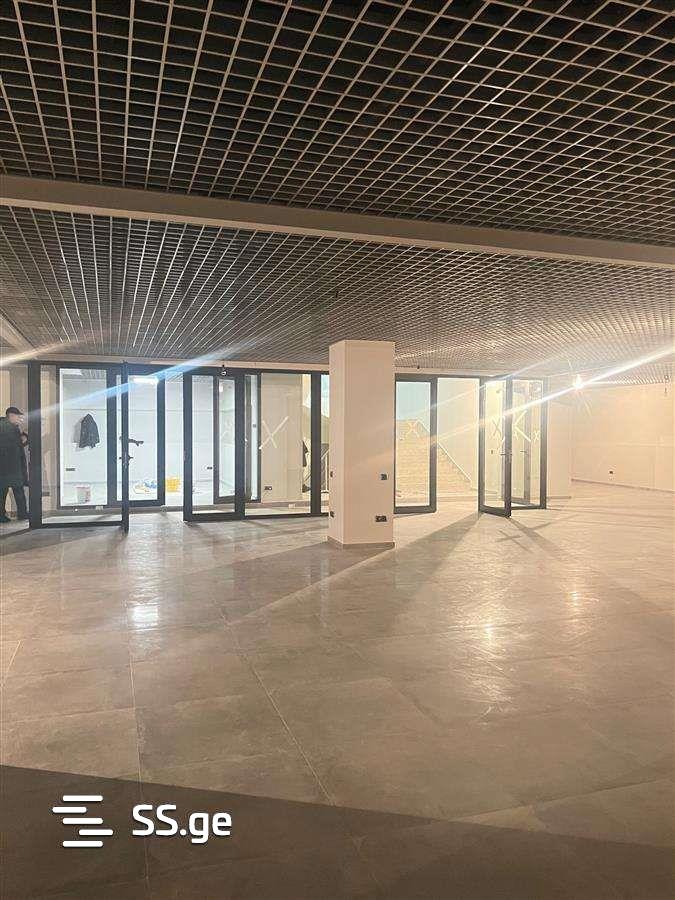 Commercial Real Estate For Rent. Avlabari view 1