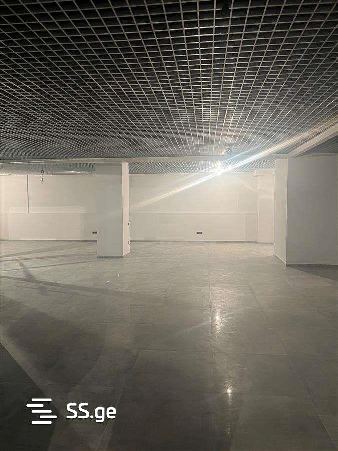 Commercial Real Estate For Rent. Avlabari view 7