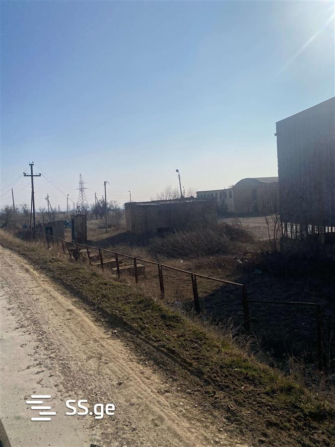 Продажа Store-Industrial Property в гардабани view 3