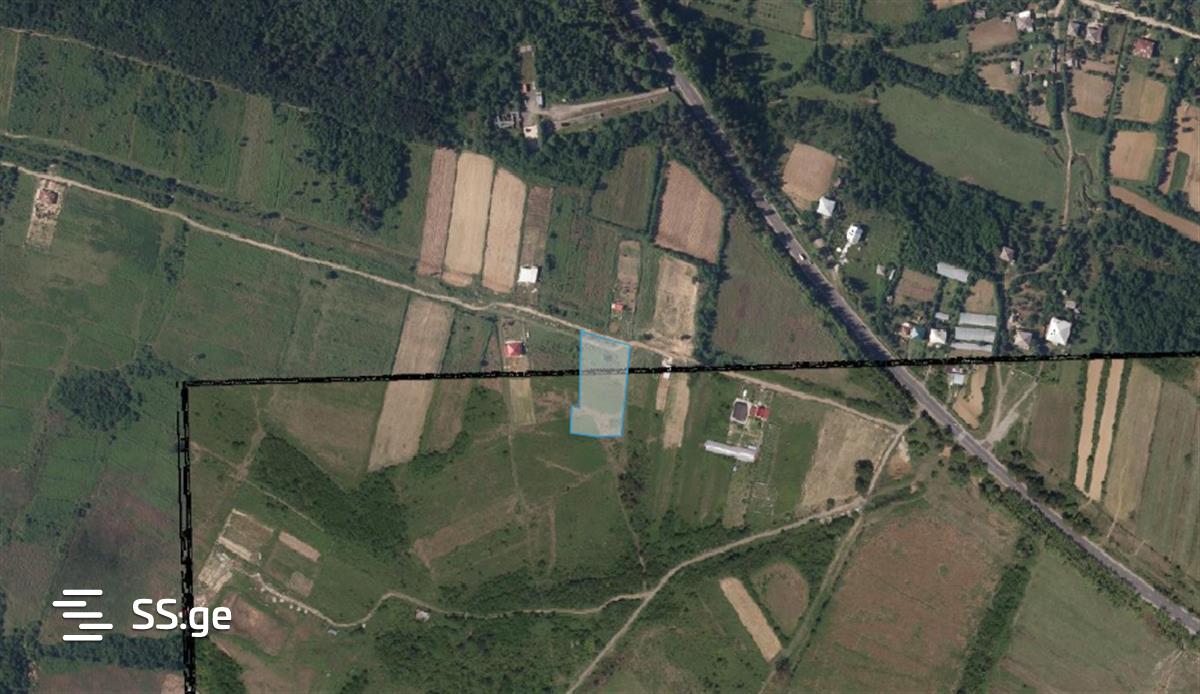 Agricultural Plot For Sale In Gumbra, In Tskaltubo Municipality view 4