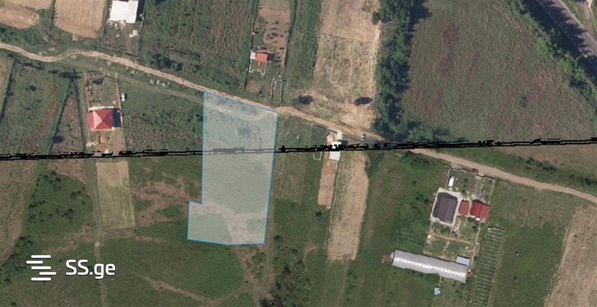 Agricultural Plot For Sale In Gumbra, In Tskaltubo Municipality view 5