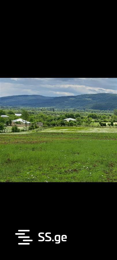 იყიდება მიწა ტიანეტიში view 7