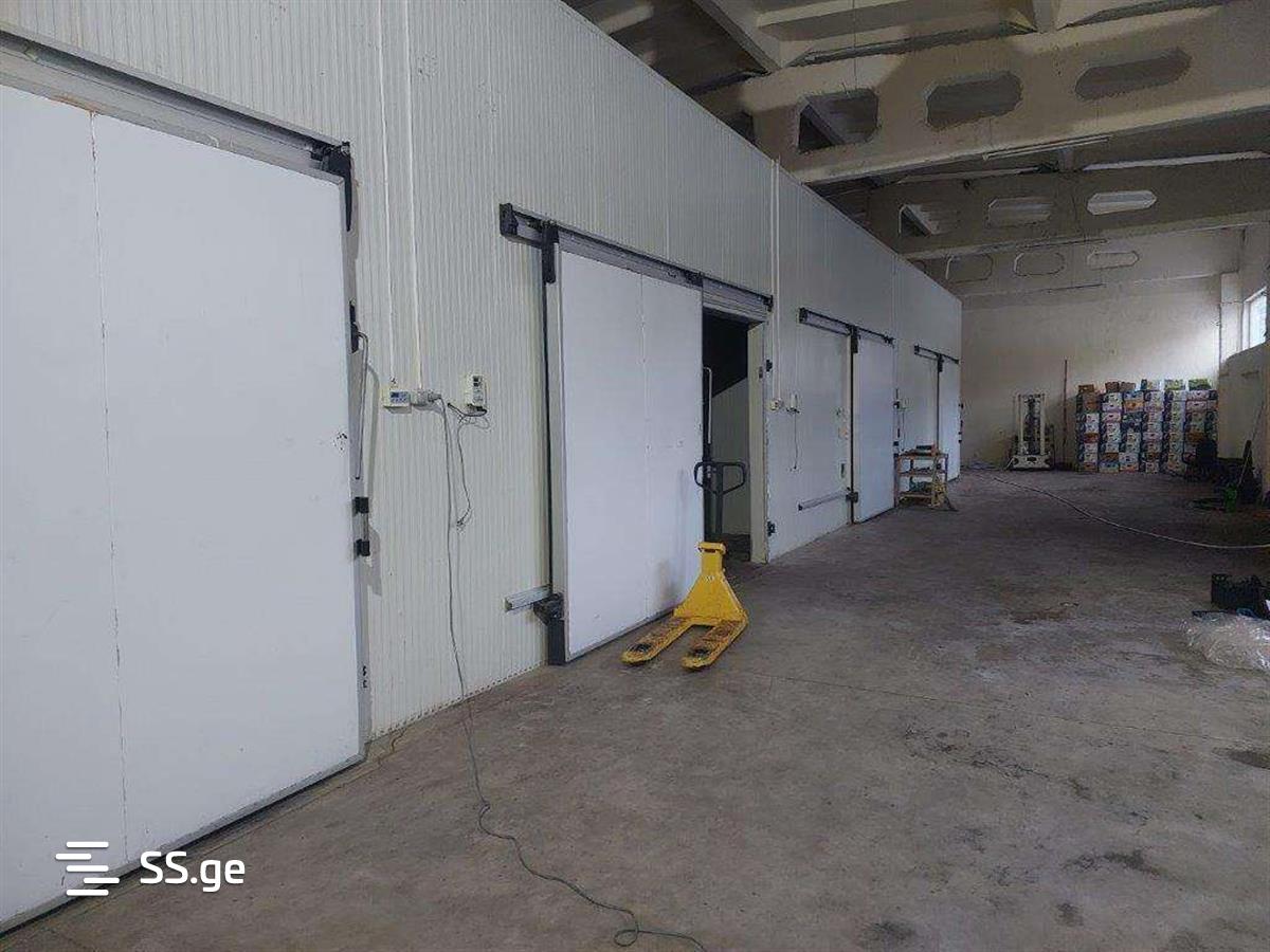 Store-Industrial Property For Sale. Sagarejo view 6