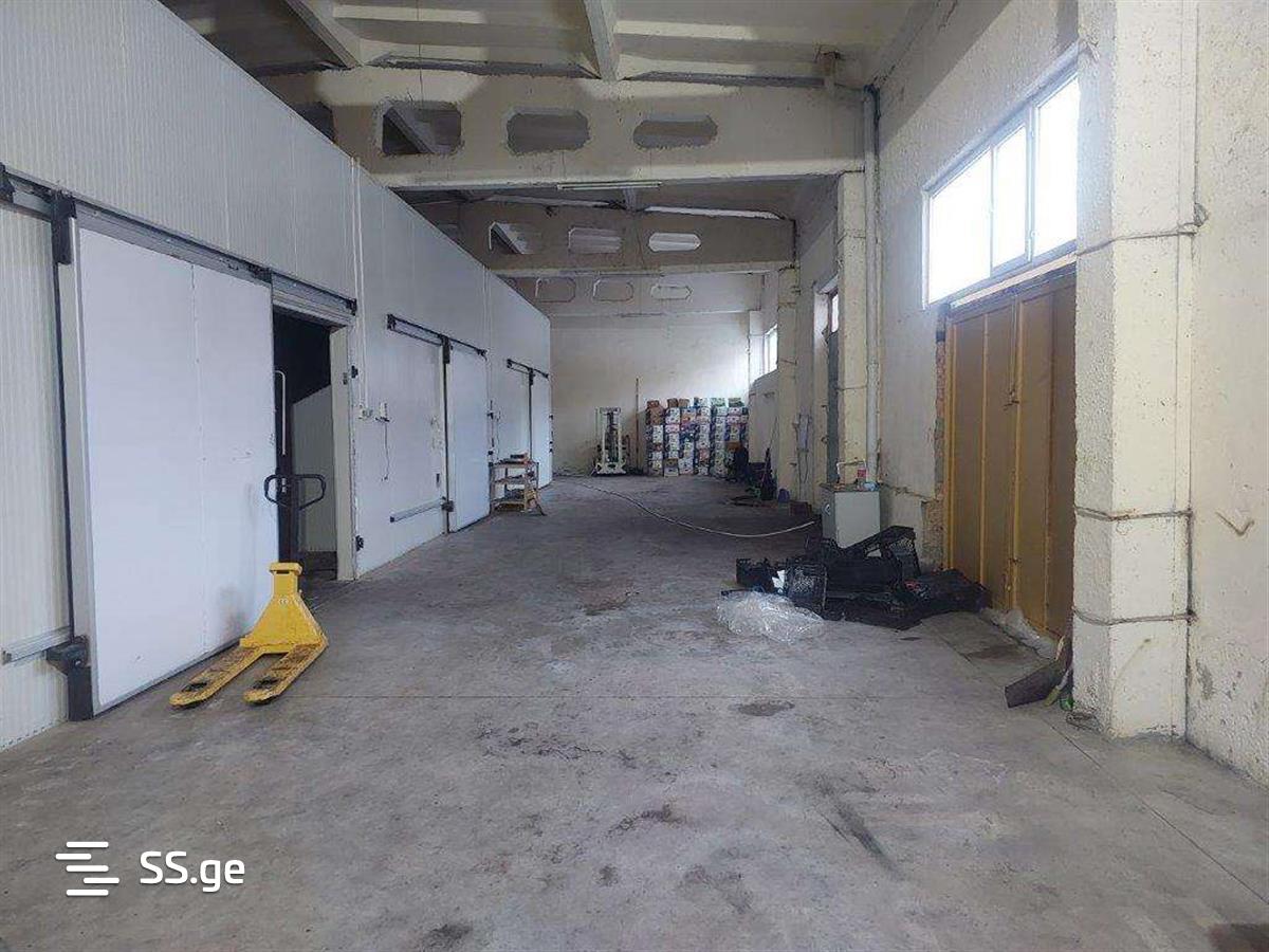 Store-Industrial Property For Sale. Sagarejo view 12