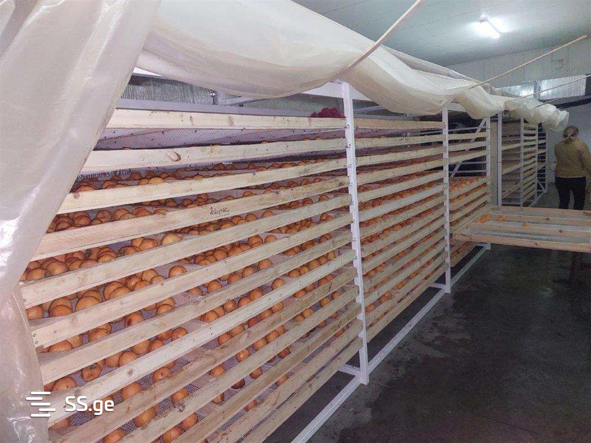 Store-Industrial Property For Sale. Sagarejo view 11