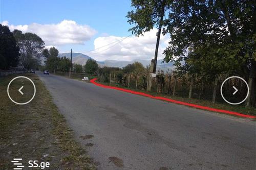https://static.ss.ge/20230218/3_2aa5639b-79e1-4d20-8006-7ebcdb240a0f_Thumb.jpg