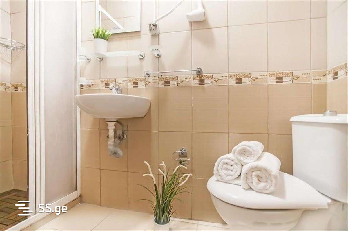 1 Room Apartment Daily Rent Khimshiashvilis Ubani, In Batumi view 12