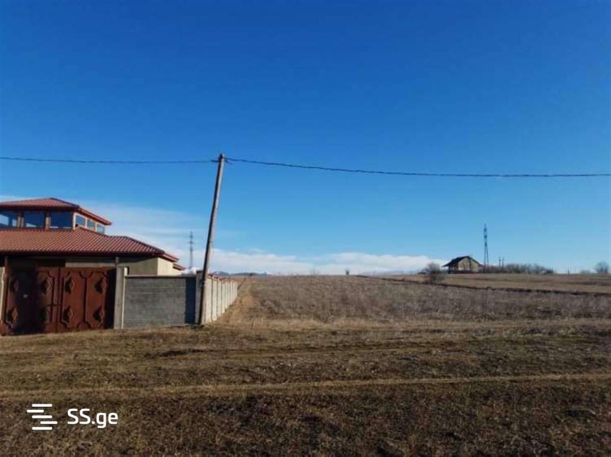 Land For Sale. Bazaleti view 10