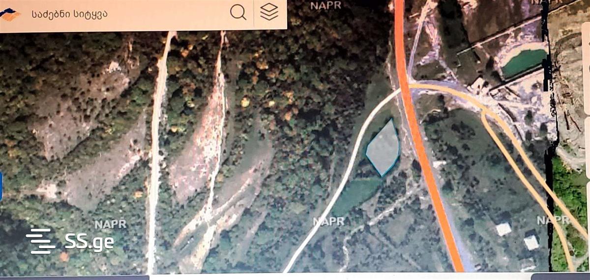 Land For Sale. Tsikhisdziri view 1