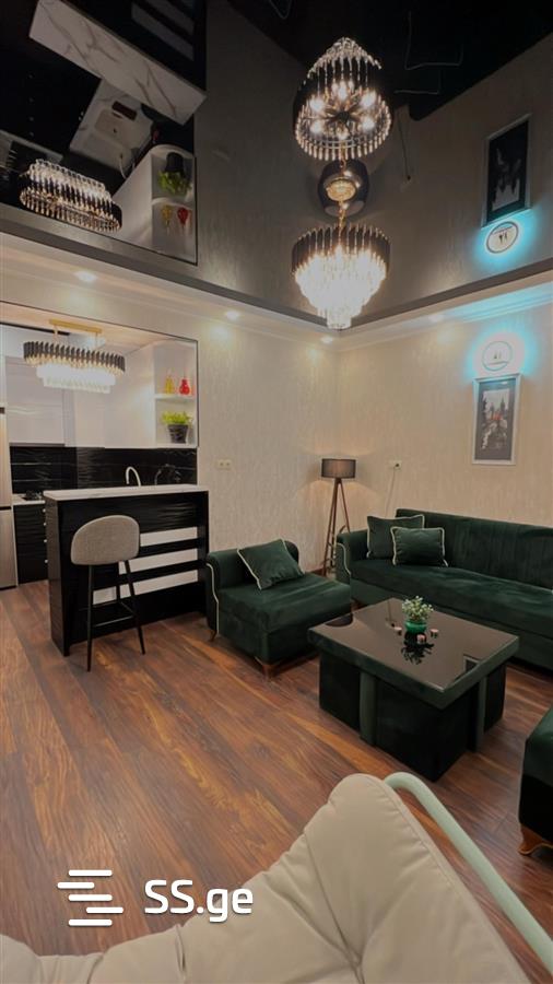 2 room Flat Daily rent. Didi digomi – pohled 2