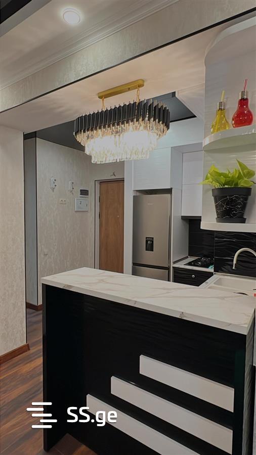 2 room Flat Daily rent. Didi digomi – pohled 5