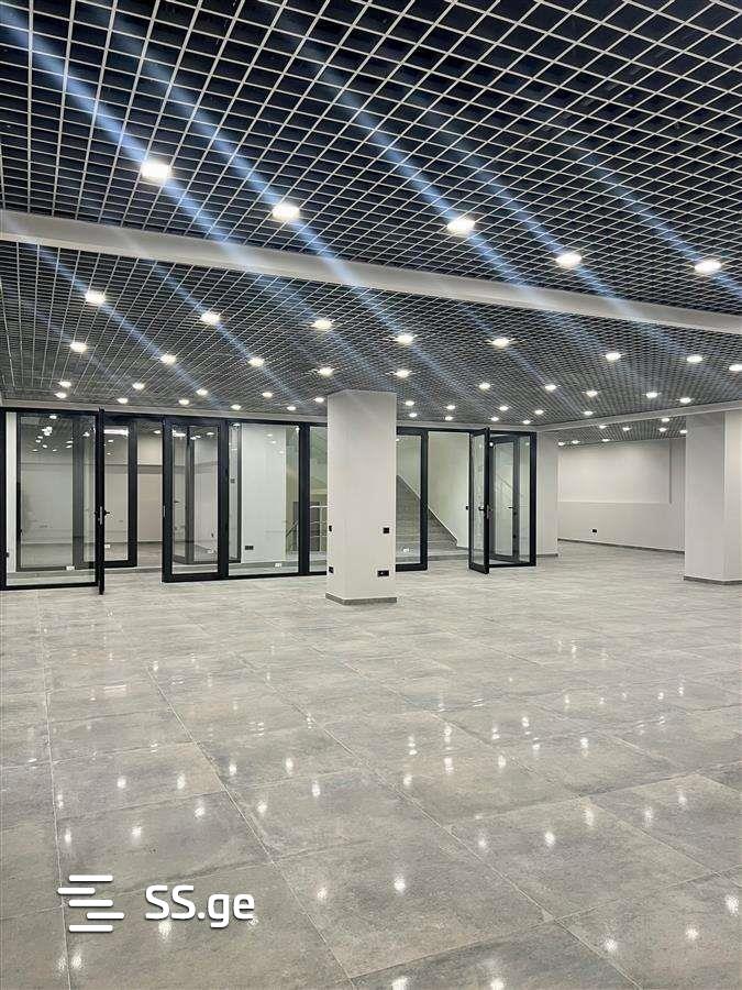 Commercial Real Estate For Rent. Avlabari view 4