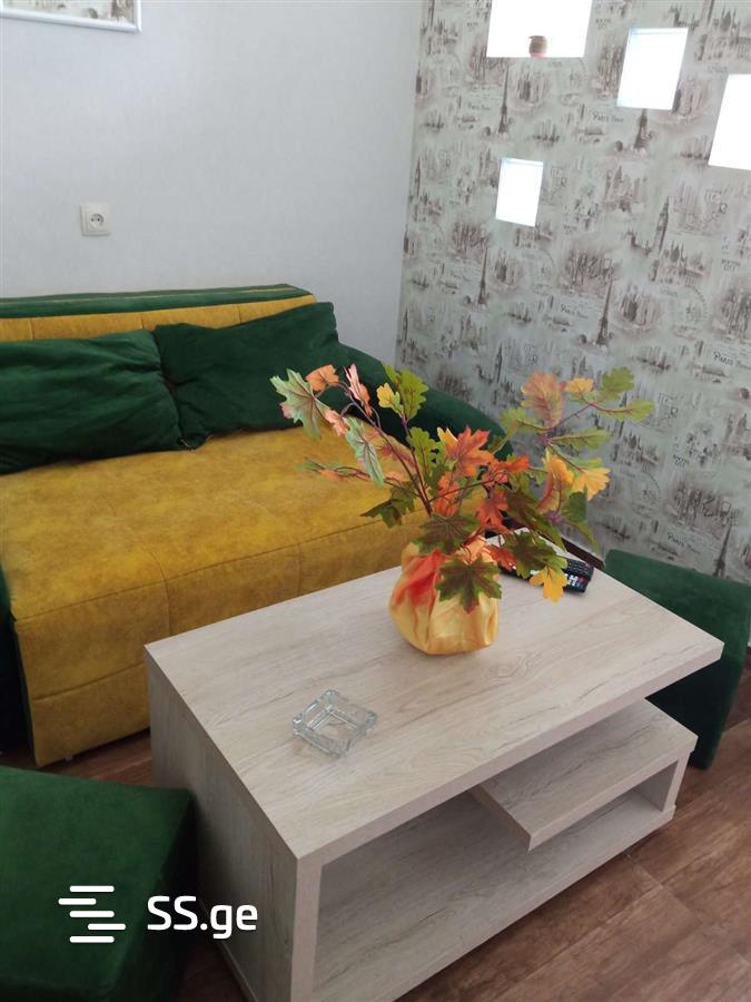 1 room Flat Daily rent. Mukhiani – pohled 5