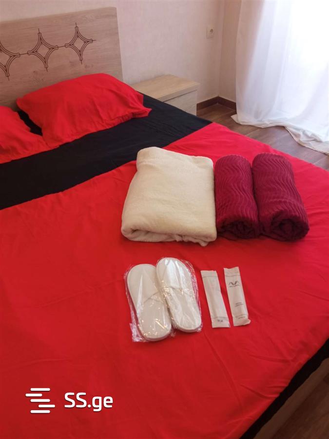 1 room Flat Daily rent. Mukhiani – pohled 3