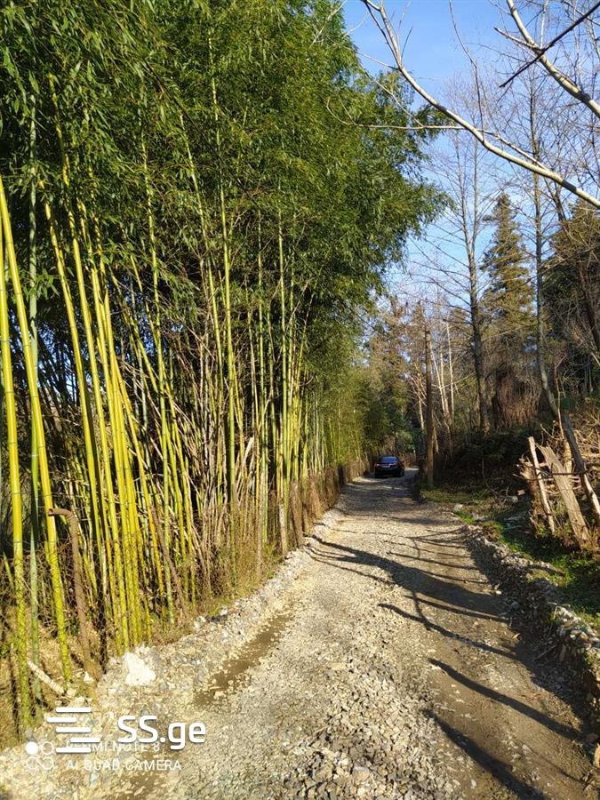 Land For Sale. Chaqvi view 3