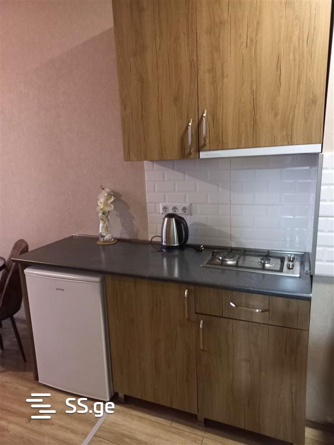 1 room Flat Daily rent. Didi digomi - Widok 3