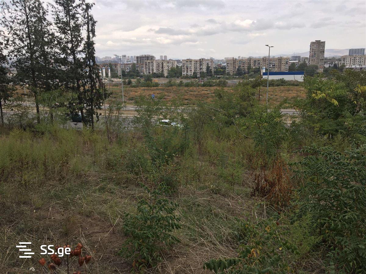 Land For Rent. Ortachala, 2 of 3