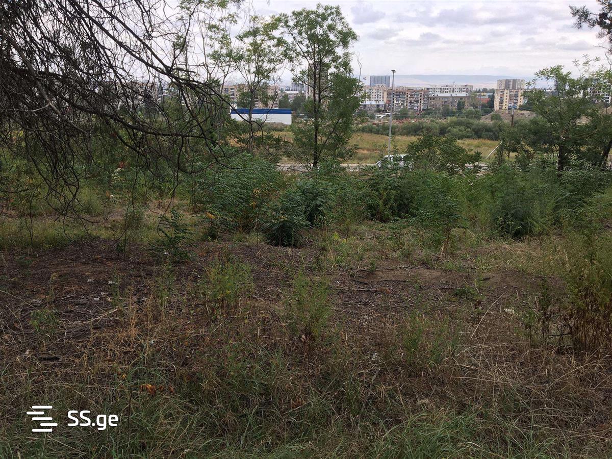 Land For Rent. Ortachala, 3 of 3