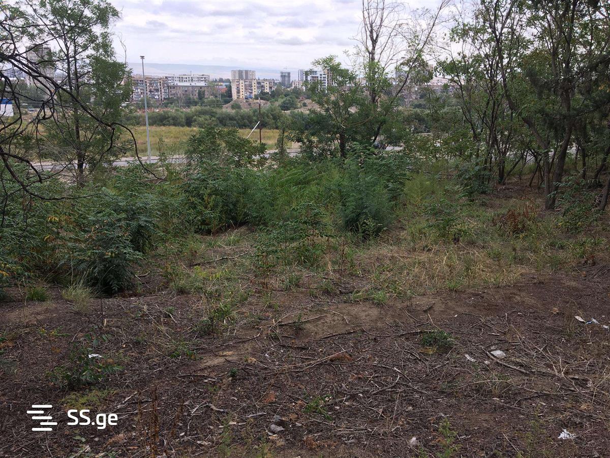 Land For Rent. Ortachala, 1 of 3