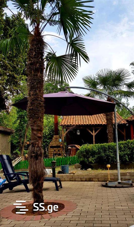 5 Room Private House For Rent. Nadzaladevi view 9