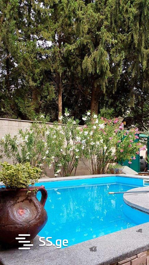 5 Room Private House For Rent. Nadzaladevi view 12