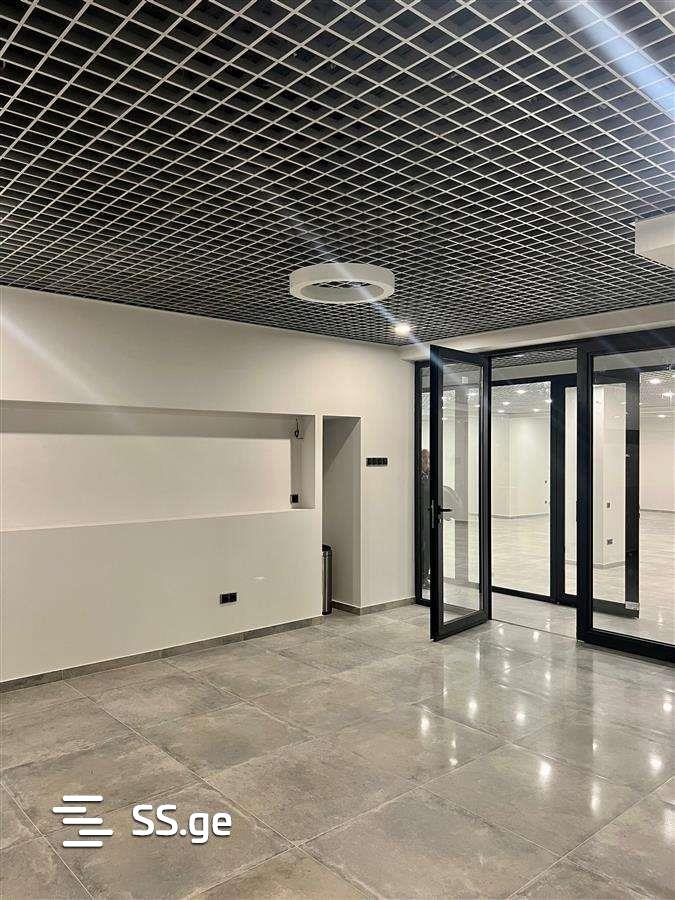 Commercial Real Estate For Rent. Avlabari view 10