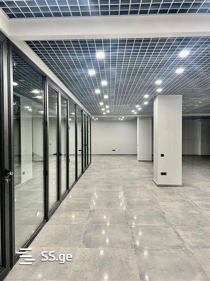 Commercial Real Estate For Rent. Avlabari view 9