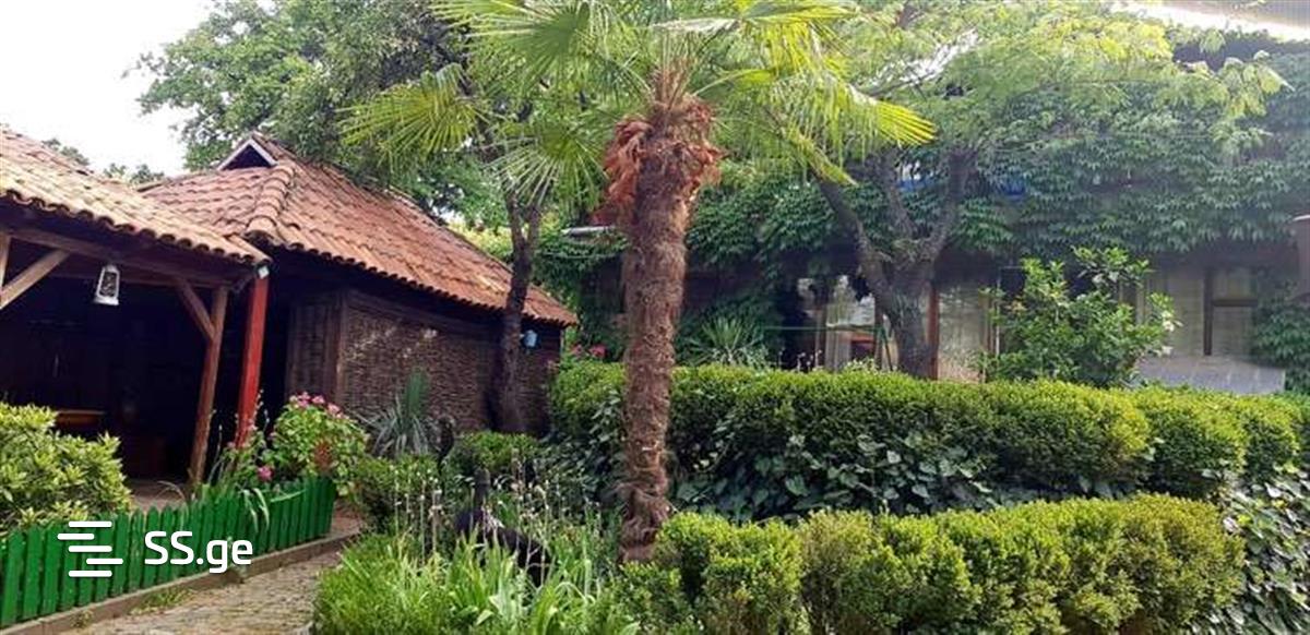5 Room Private House For Rent. Nadzaladevi view 7