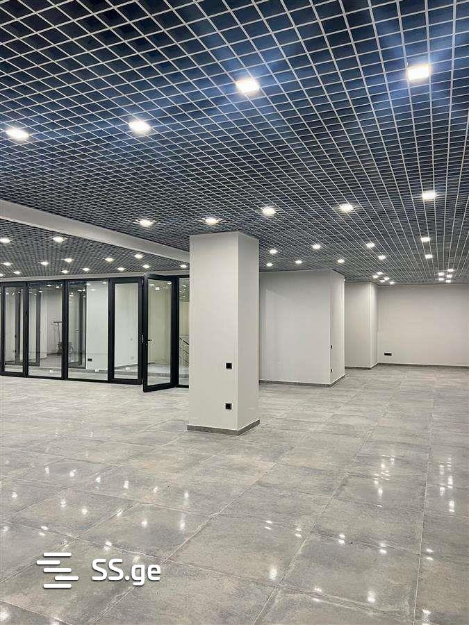 Commercial Real Estate For Rent. Avlabari view 2
